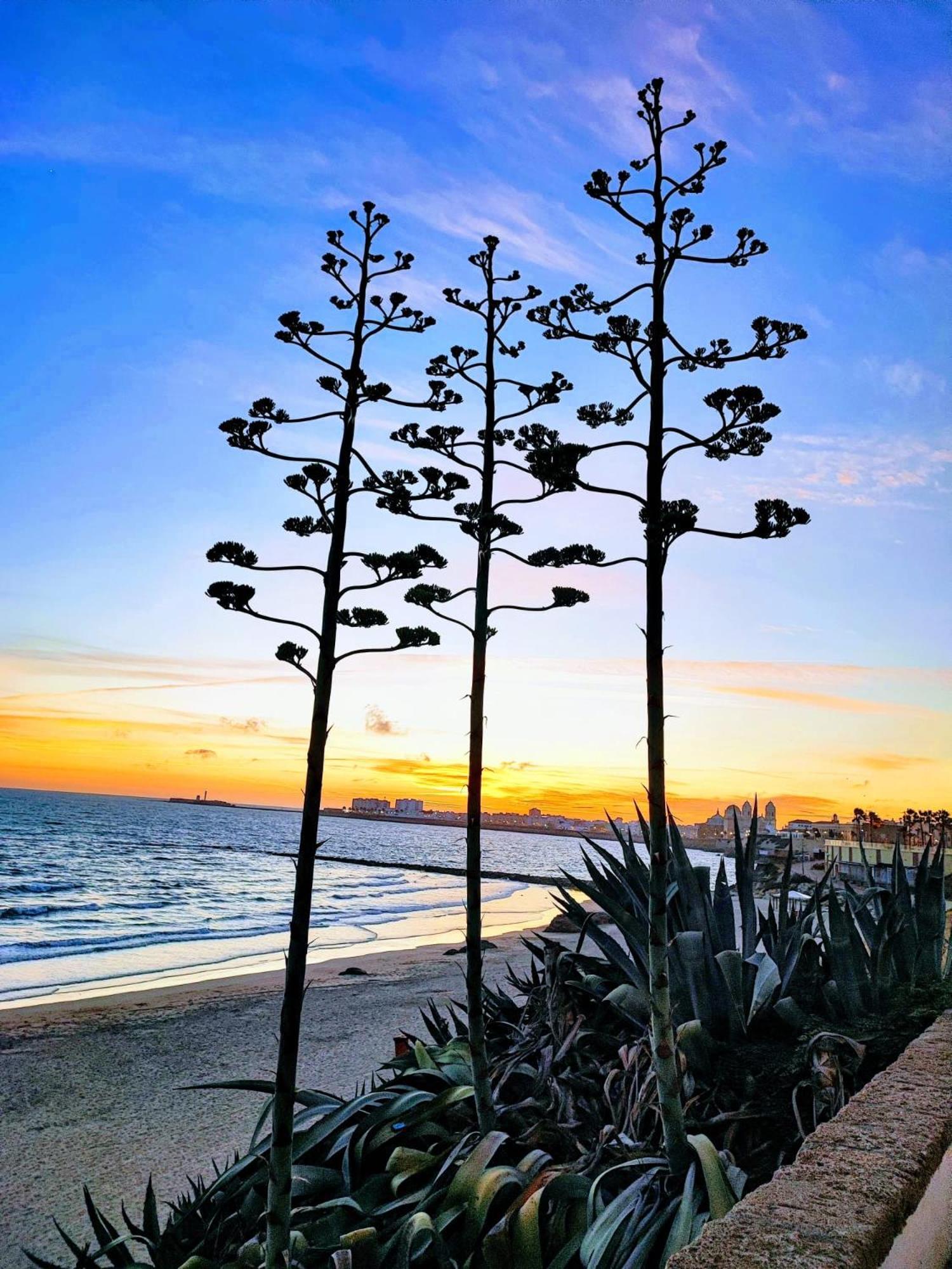 Alquiler Vacacional Cadiz Capital 외부 사진